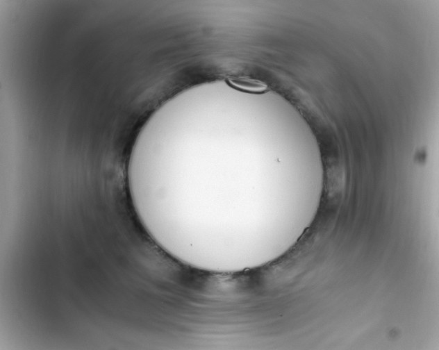 X0000103330613200809192206