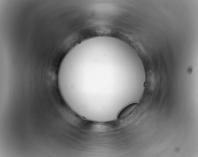 X0000103330614200809192206