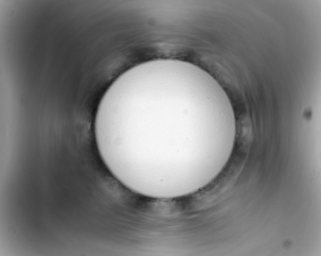 X0000103330615200809192206