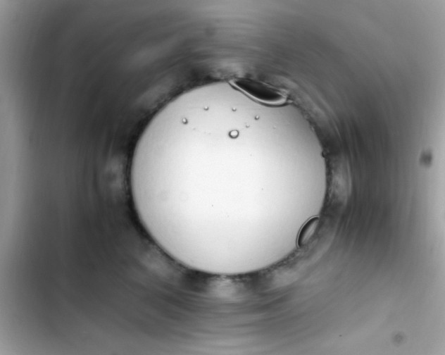 X0000103330616200809192206