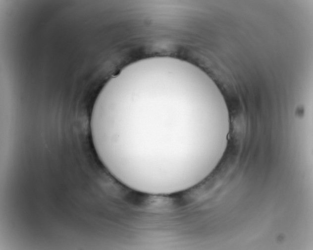 X0000103330617200809192206