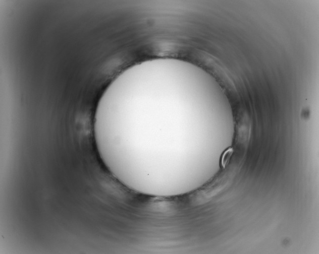 X0000103330620200809192206