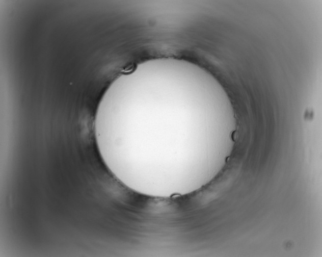 X0000103330624200809192206