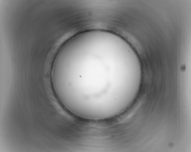 X0000103330625200809192205