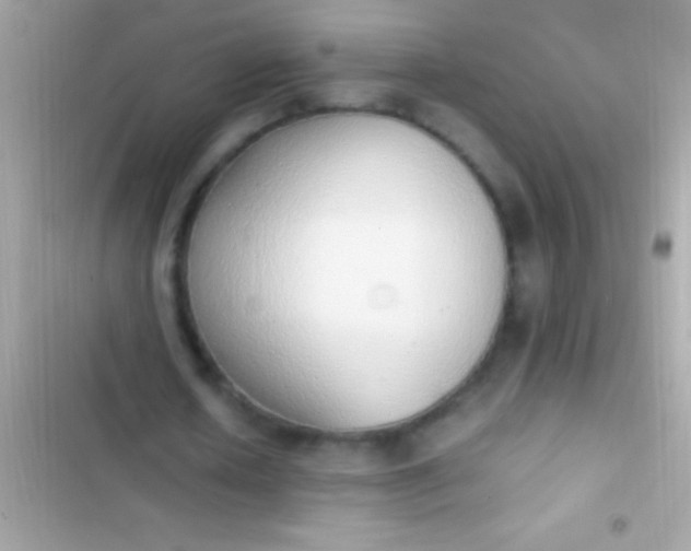 X0000103330626200809192205