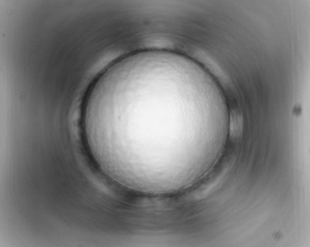 X0000103330627200809192205