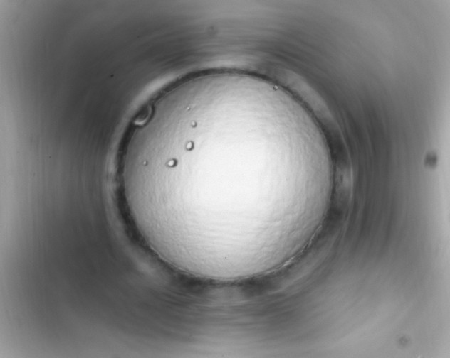 X0000103330628200809192205