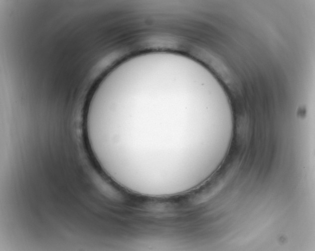 X0000103330629200809192205