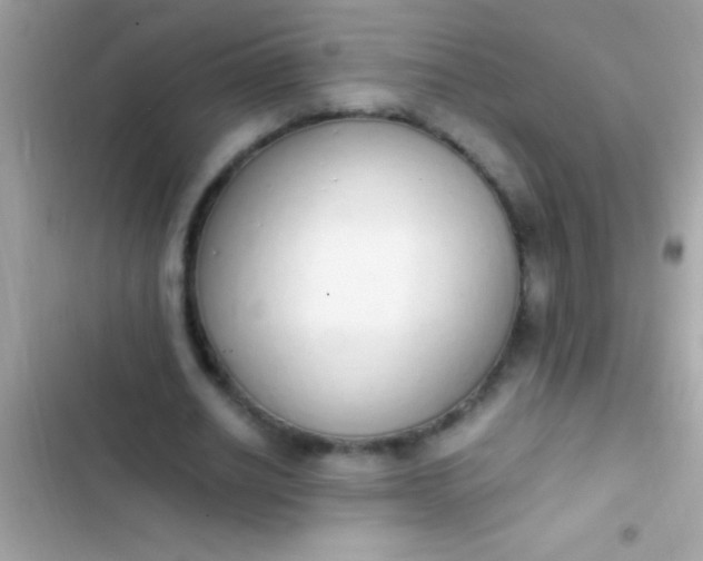 X0000103330630200809192205