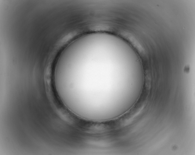 X0000103330631200809192205