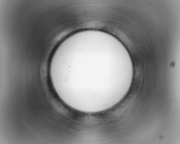 X0000103330632200809192205