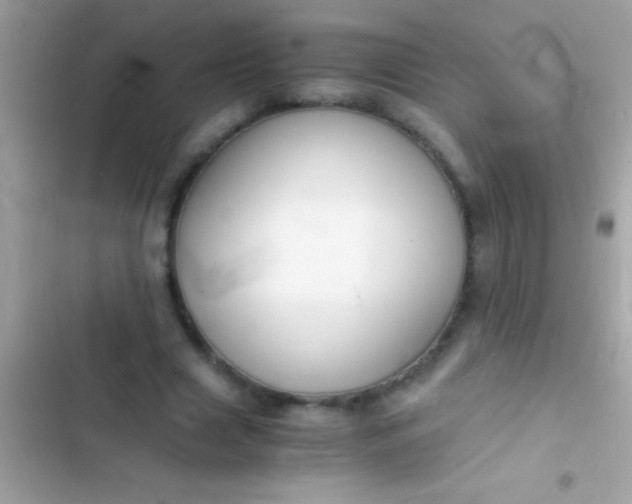 X0000103330633200809192205