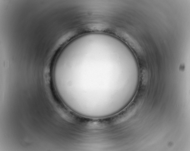 X0000103330634200809192205