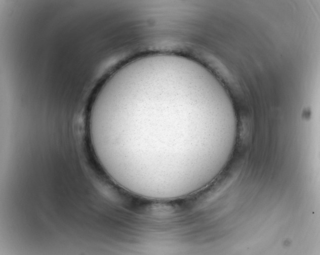 X0000103330636200809192205