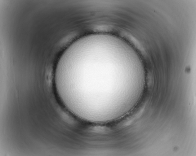 X0000103330637200809192205