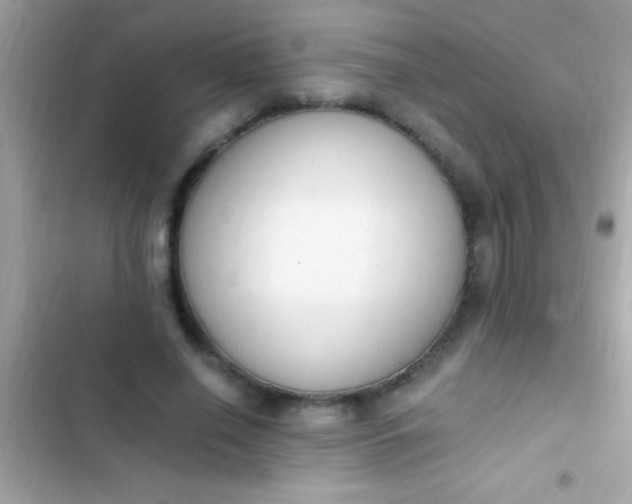 X0000103330638200809192205