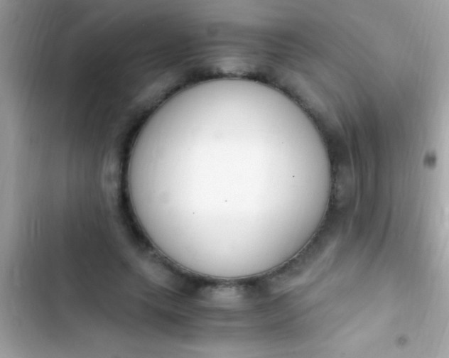 X0000103330639200809192205