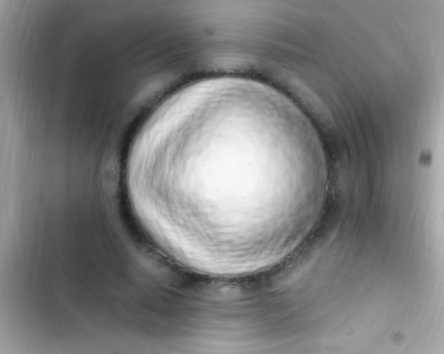 X0000103330640200809192205