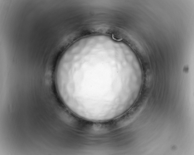 X0000103330641200809192205