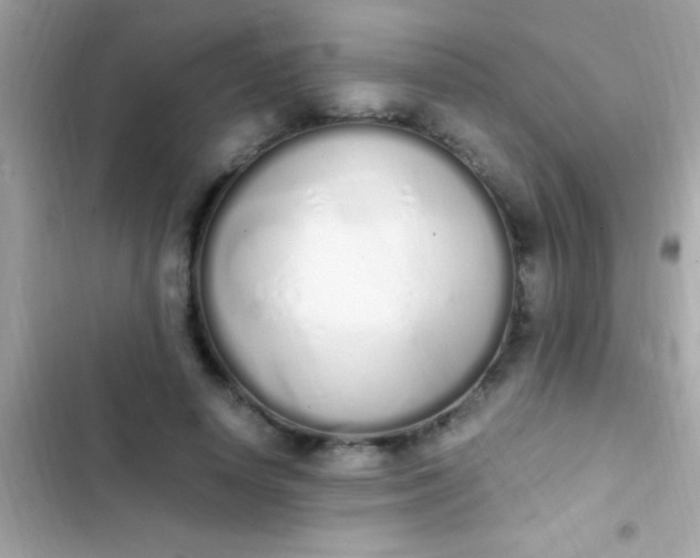 X0000103330642200809192205