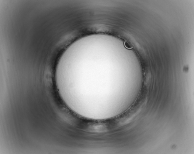 X0000103330643200809192205