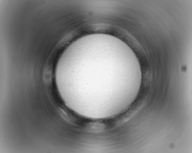 X0000103330644200809192205