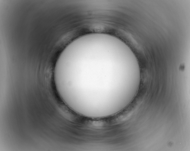 X0000103330645200809192205