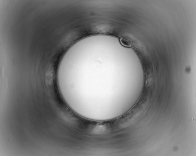 X0000103330647200809192205