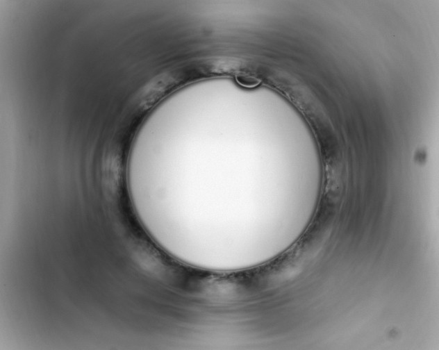 X0000103330648200809192205