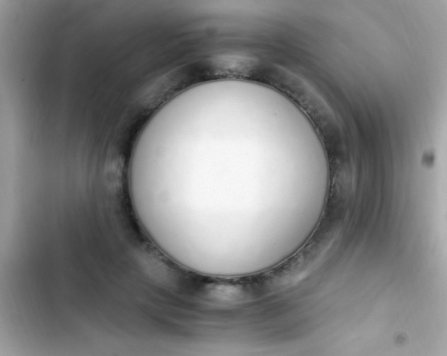 X0000103330649200809192205