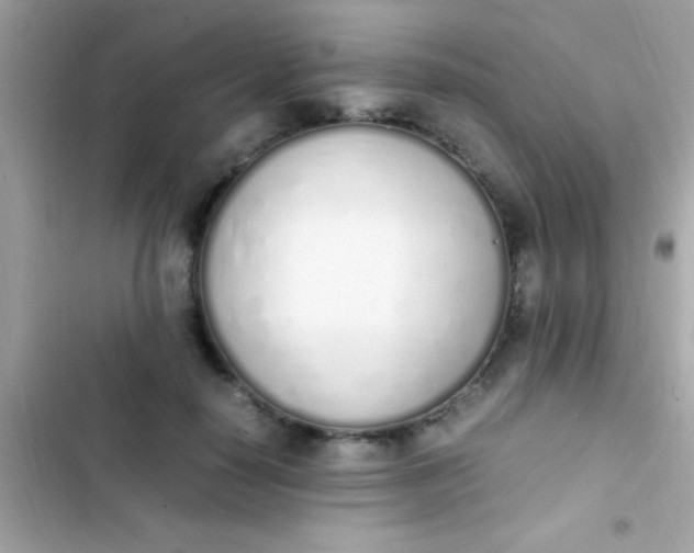 X0000103330650200809192205