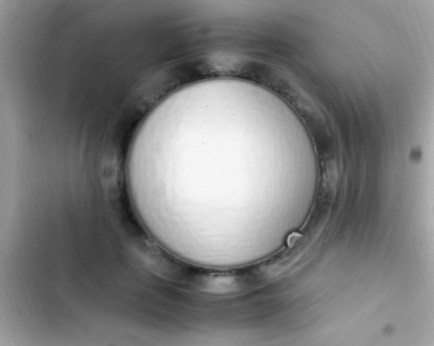 X0000103330651200809192205