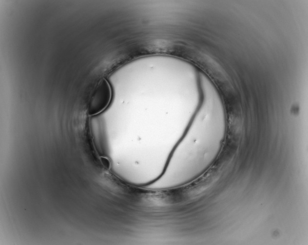 X0000103330652200809192205