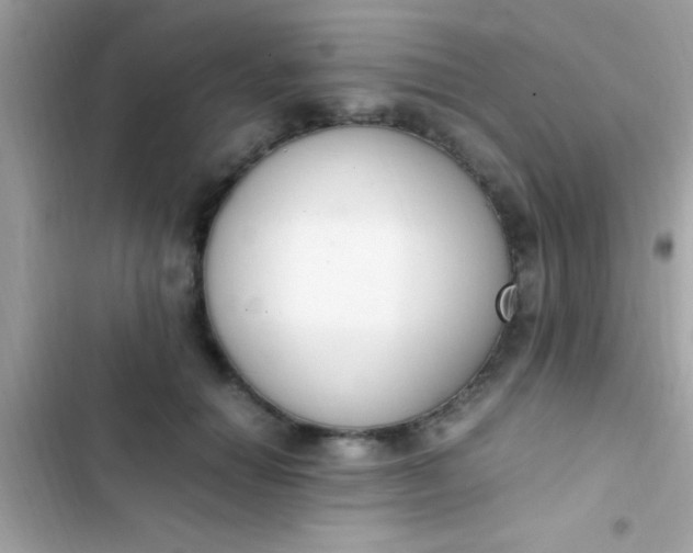 X0000103330654200809192205