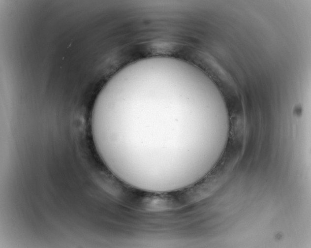 X0000103330655200809192205