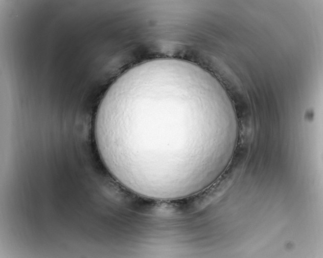 X0000103330656200809192205