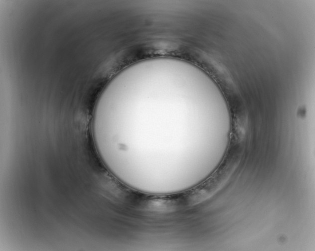 X0000103330657200809192205