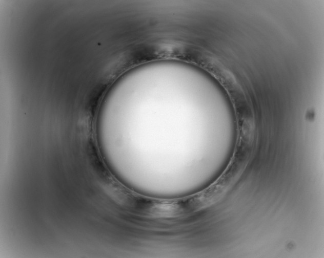 X0000103330659200809192205