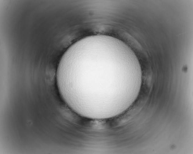 X0000103330660200809192205