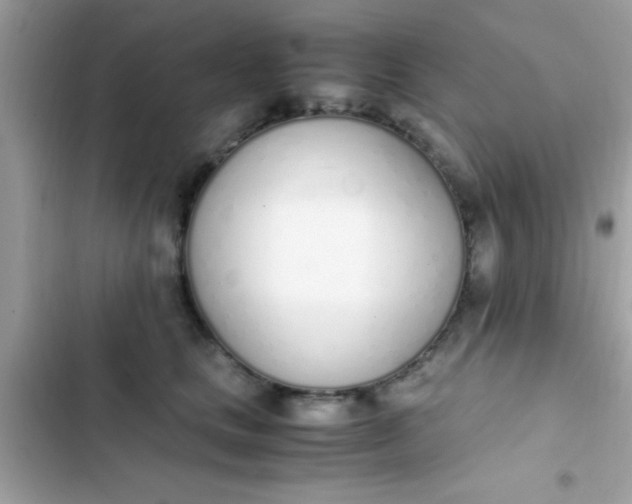 X0000103330661200809192205