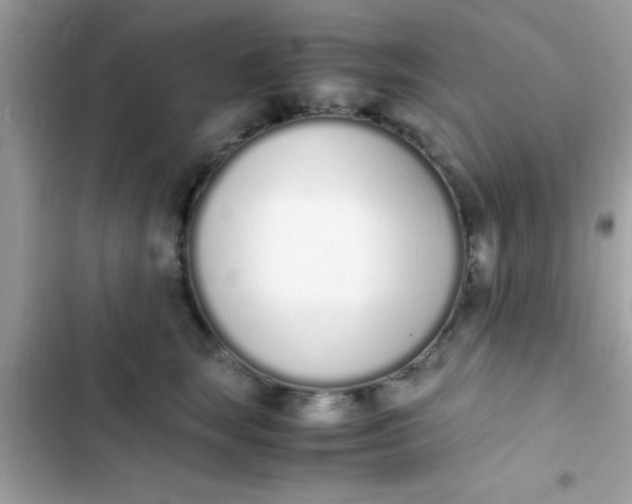 X0000103330663200809192205