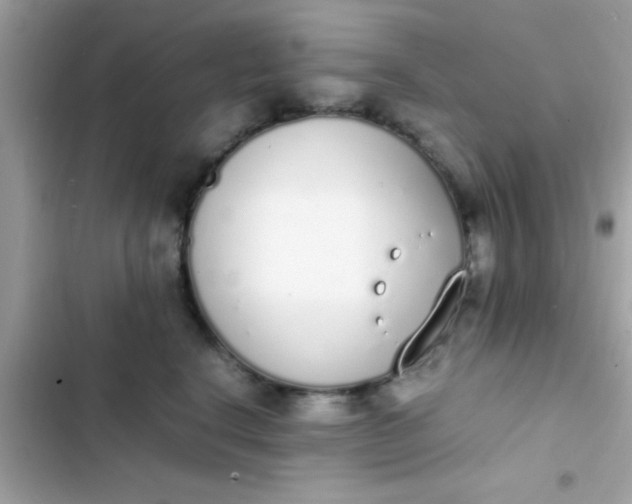 X0000103330664200809192205