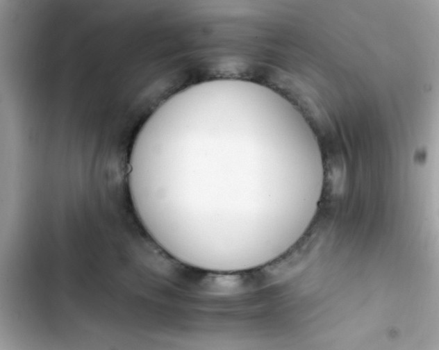 X0000103330665200809192205