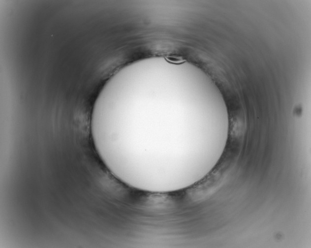 X0000103330666200809192206