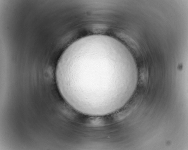 X0000103330667200809192206