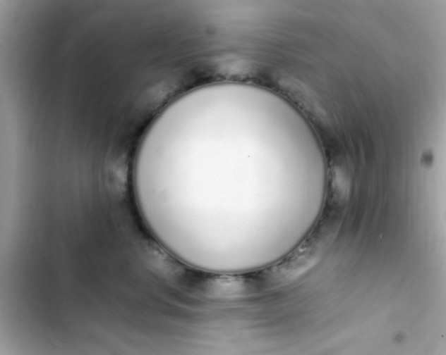 X0000103330668200809192206