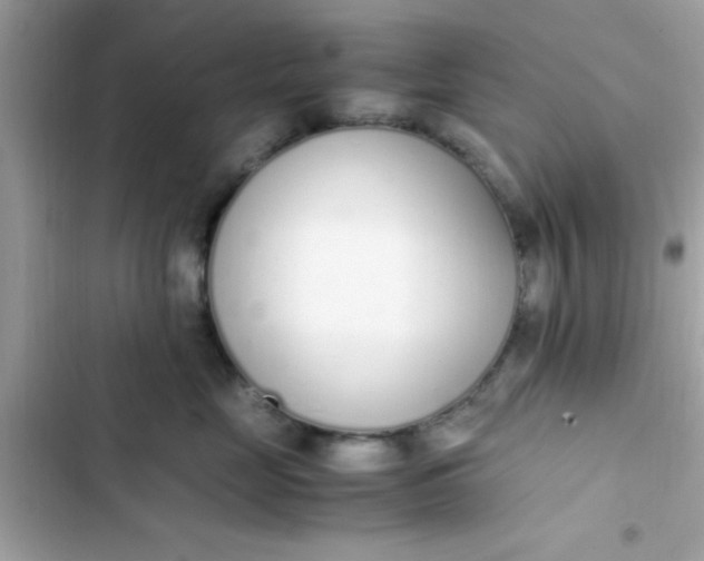 X0000103330669200809192206