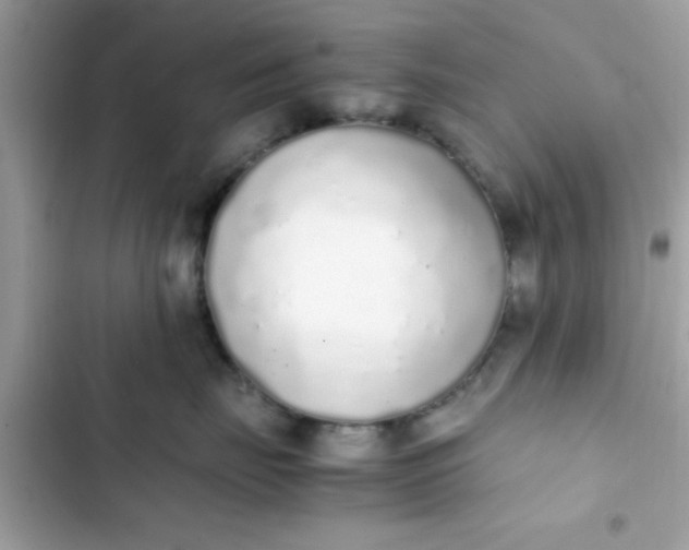 X0000103330671200809192206