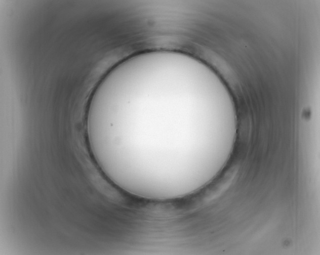 X0000103330673200809192205