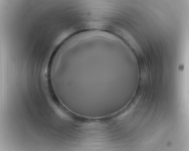 X0000103330674200809192205